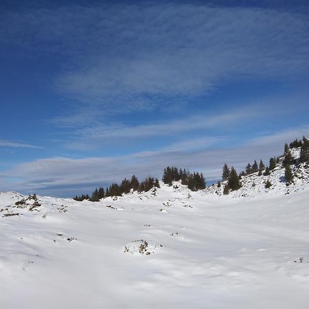 Le Chalet Theys エクステリア 写真