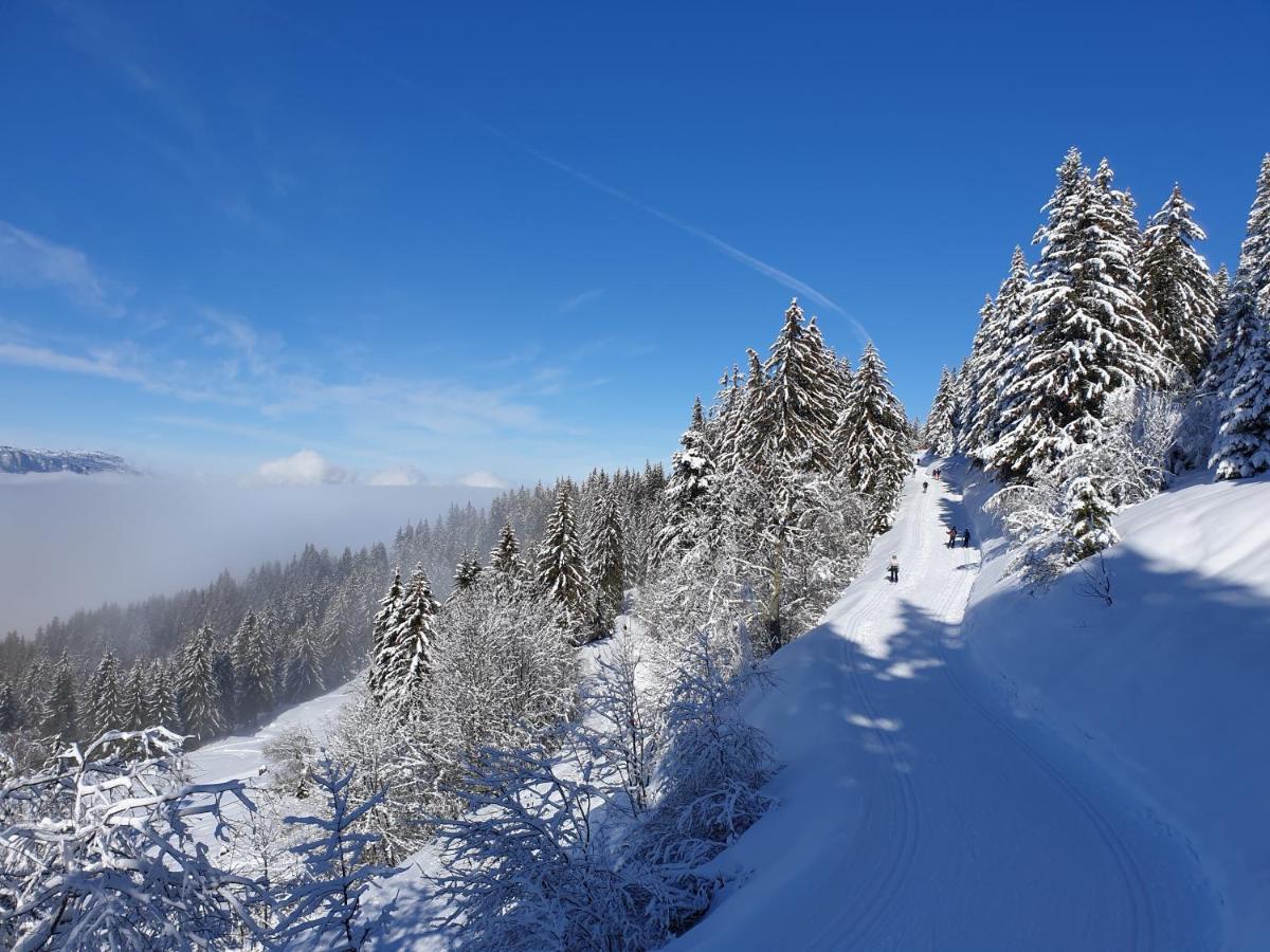 Le Chalet Theys エクステリア 写真