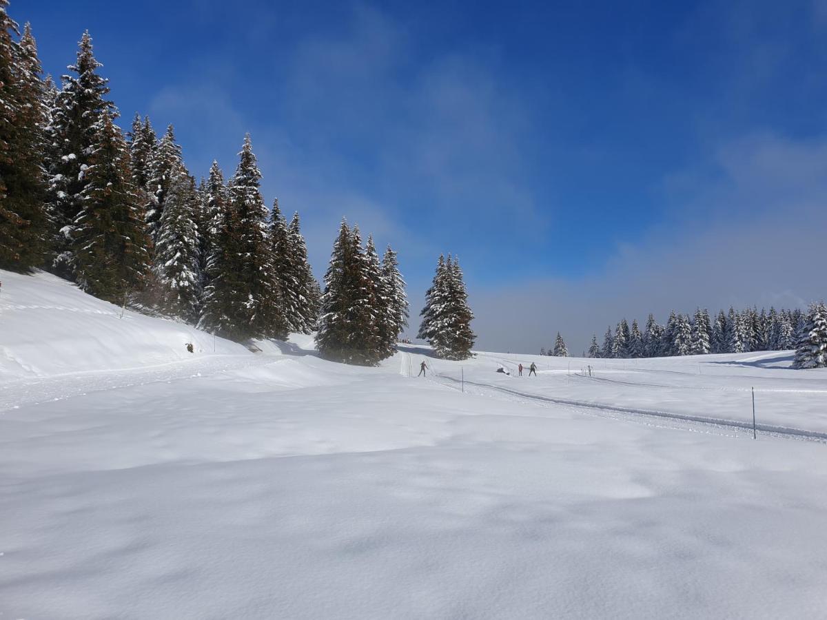 Le Chalet Theys エクステリア 写真