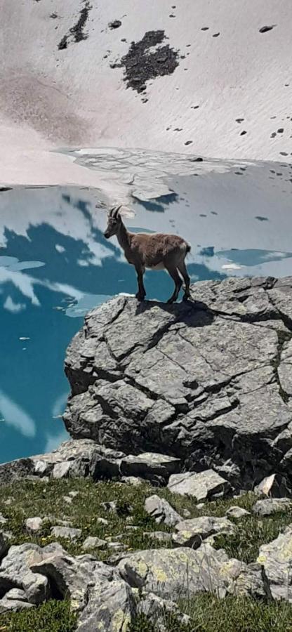 Le Chalet Theys エクステリア 写真