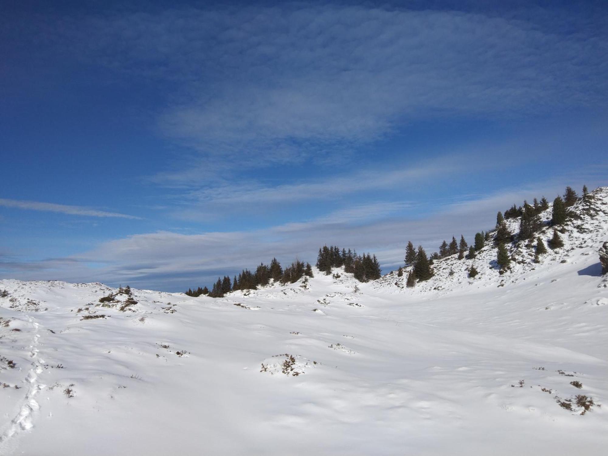 Le Chalet Theys エクステリア 写真